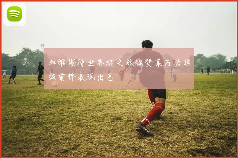 加维期待世界杯之旅称赞莱万为顶级前锋表现出色